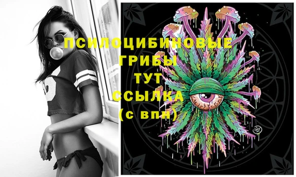 mdma Елабуга