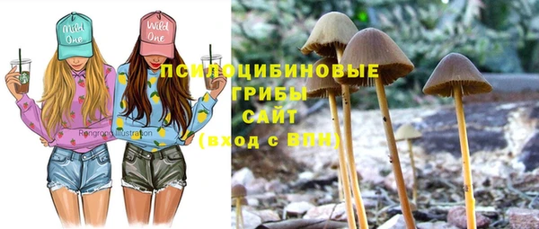 MDMA Елизово
