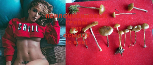 mdma Елабуга