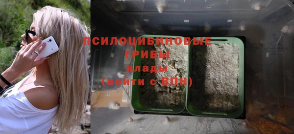 MDMA Елизово