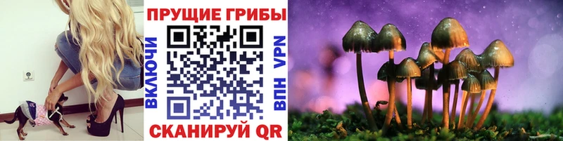 как найти   Копейск  Галлюциногенные грибы MAGIC MUSHROOMS 